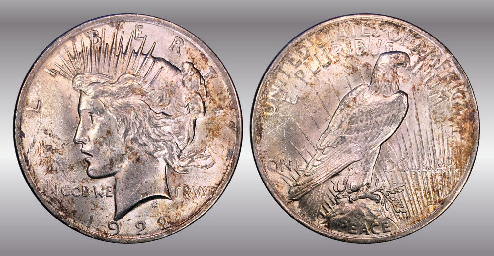 My-Raw-Peace-Dollar-Collection.-.-.-.-Warning!